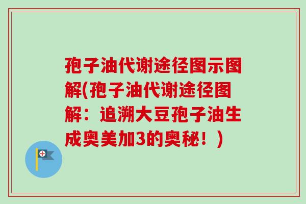 孢子油代谢途径图示图解(孢子油代谢途径图解：追溯大豆孢子油生成奥美加3的奥秘！)