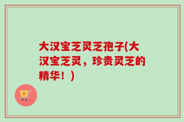 大汉宝芝灵芝孢子(大汉宝芝灵，珍贵灵芝的精华！)