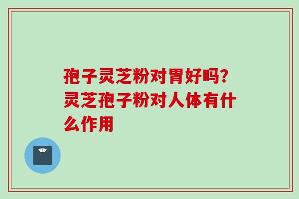 孢子灵芝粉对胃好吗？灵芝孢子粉对人体有什么作用