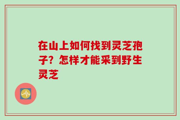在山上如何找到灵芝孢子？怎样才能采到野生灵芝