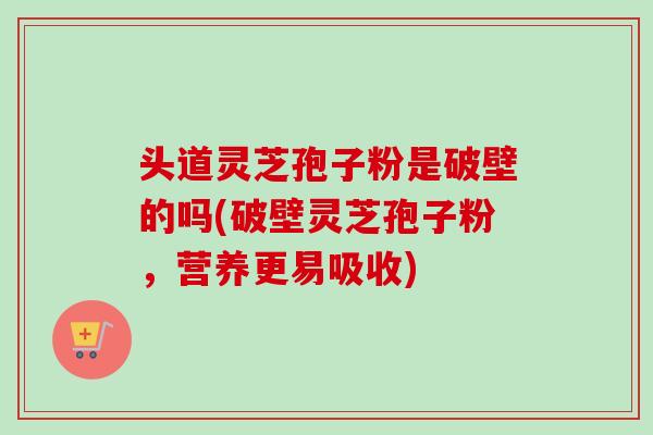 头道灵芝孢子粉是破壁的吗(破壁灵芝孢子粉，营养更易吸收)