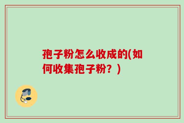 孢子粉怎么收成的(如何收集孢子粉？)