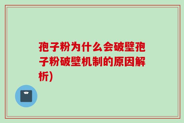 孢子粉为什么会破壁孢子粉破壁机制的原因解析)