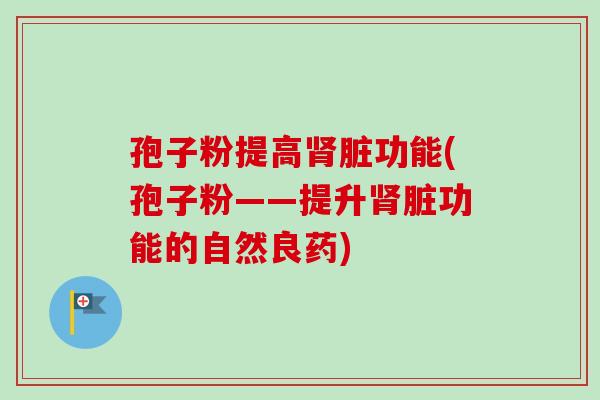 孢子粉提高肾脏功能(孢子粉——提升肾脏功能的自然良药)