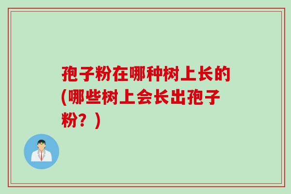 孢子粉在哪种树上长的(哪些树上会长出孢子粉？)