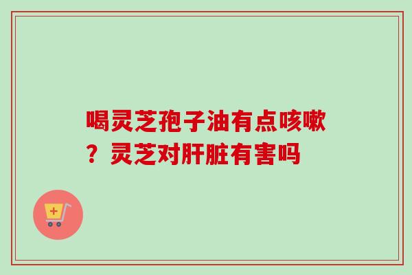 喝灵芝孢子油有点咳嗽？灵芝对肝脏有害吗