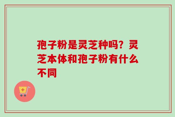 孢子粉是灵芝种吗？灵芝本体和孢子粉有什么不同