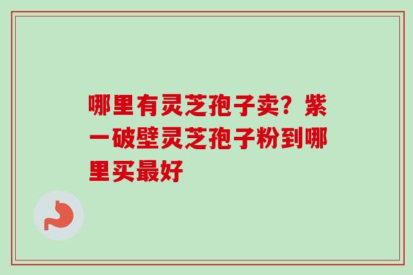 哪里有灵芝孢子卖?紫一破壁灵芝孢子粉到哪里买好 哪里有灵芝孢子卖?紫一破壁灵芝孢子粉到哪里买好