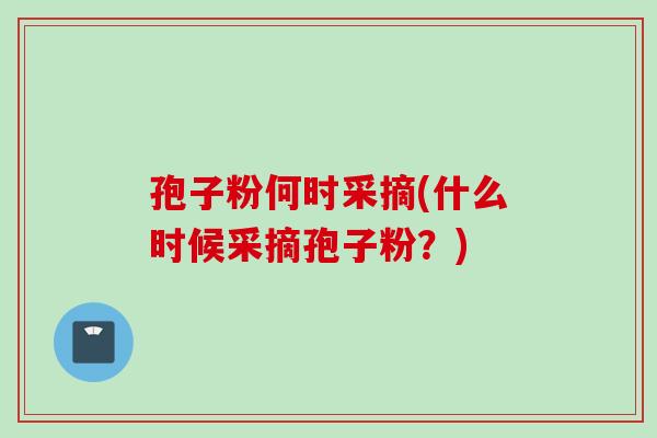 孢子粉何时采摘(什么时候采摘孢子粉？)