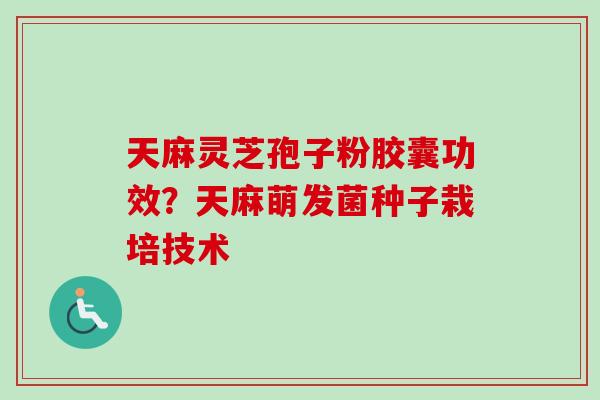 天麻灵芝孢子粉胶囊功效？天麻萌发菌种子栽培技术
