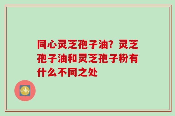 同心灵芝孢子油？灵芝孢子油和灵芝孢子粉有什么不同之处