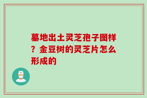 墓地出土灵芝孢子图样？金豆树的灵芝片怎么形成的