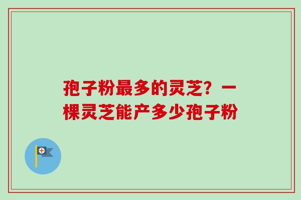 孢子粉最多的灵芝？一棵灵芝能产多少孢子粉