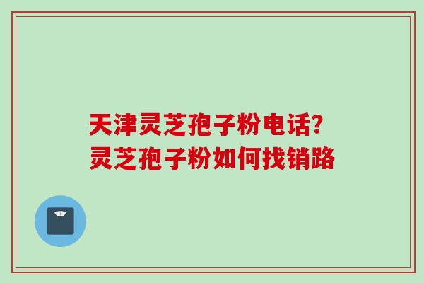 天津灵芝孢子粉电话？灵芝孢子粉如何找销路