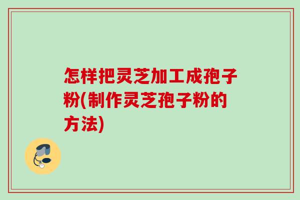 怎样把灵芝加工成孢子粉(制作灵芝孢子粉的方法)