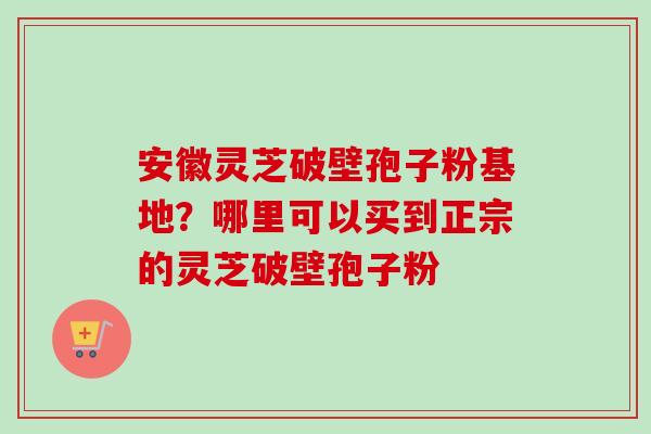 安徽灵芝破壁孢子粉基地？哪里可以买到正宗的灵芝破壁孢子粉