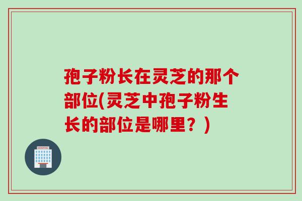 孢子粉长在灵芝的那个部位(灵芝中孢子粉生长的部位是哪里？)