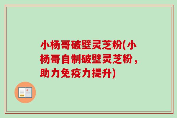 小杨哥破壁灵芝粉(小杨哥自制破壁灵芝粉，助力免疫力提升)