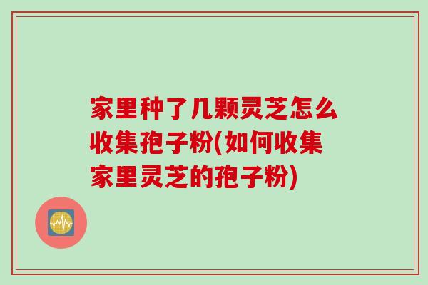 家里种了几颗灵芝怎么收集孢子粉(如何收集家里灵芝的孢子粉)