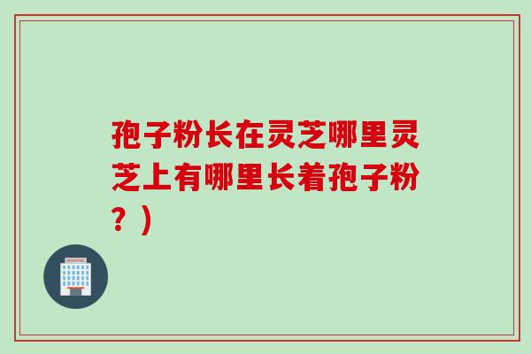 孢子粉长在灵芝哪里灵芝上有哪里长着孢子粉？)