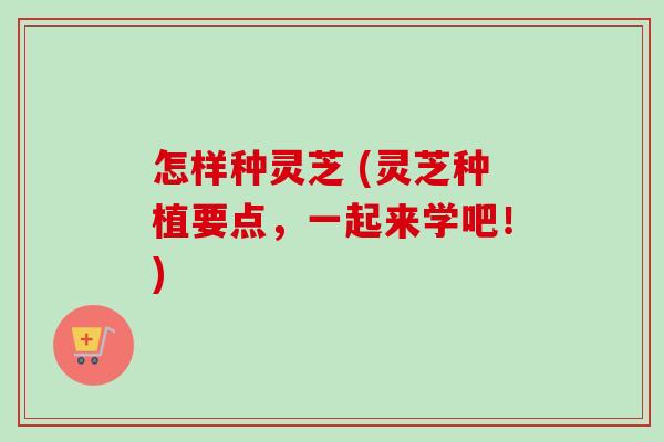 怎样种灵芝 (灵芝种植要点，一起来学吧！)