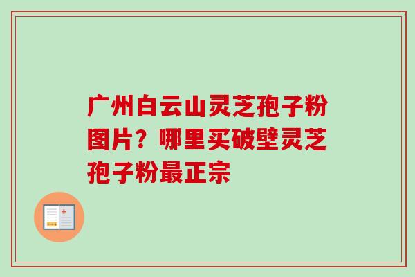 广州白云山灵芝孢子粉图片？哪里买破壁灵芝孢子粉最正宗