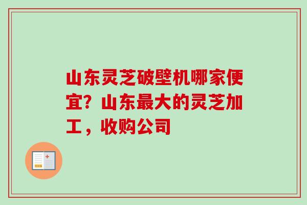 山东灵芝破壁机哪家便宜？山东最大的灵芝加工，收购公司