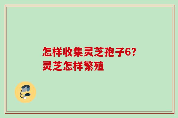 怎样收集灵芝孢子6？灵芝怎样繁殖