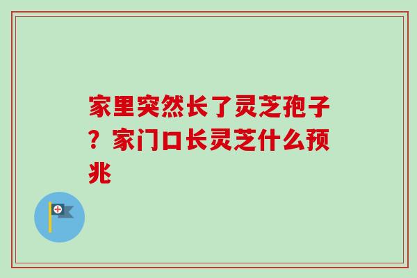 家里突然长了灵芝孢子？家门口长灵芝什么预兆
