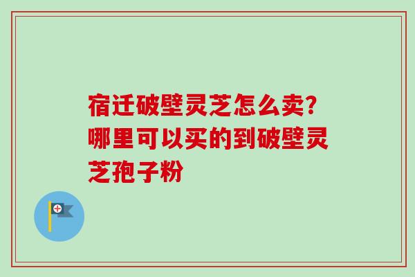 宿迁破壁灵芝怎么卖？哪里可以买的到破壁灵芝孢子粉