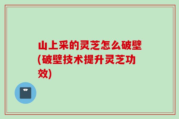 山上采的灵芝怎么破壁(破壁技术提升灵芝功效)
