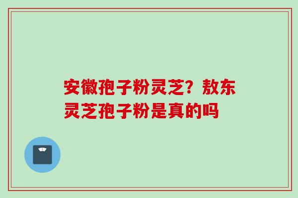 安徽孢子粉灵芝？敖东灵芝孢子粉是真的吗