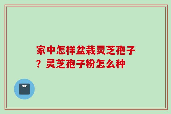 家中怎样盆栽灵芝孢子？灵芝孢子粉怎么种