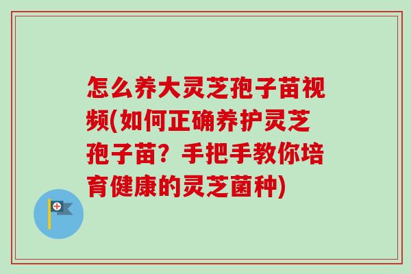 怎么养大灵芝孢子苗视频(如何正确养护灵芝孢子苗？手把手教你培育健康的灵芝菌种)