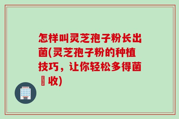 怎样叫灵芝孢子粉长出菌(灵芝孢子粉的种植技巧，让你轻松多得菌豐收)