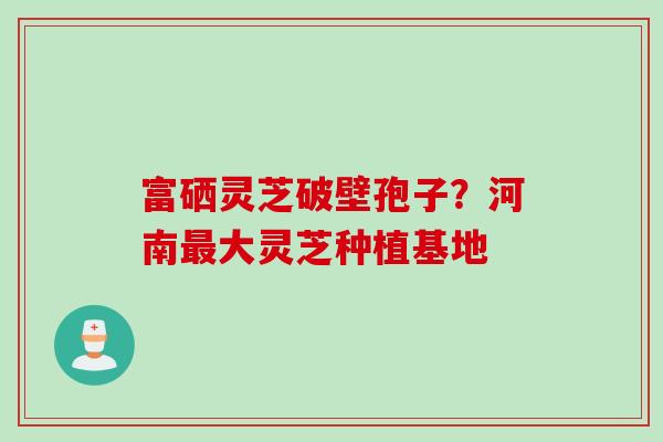 富硒灵芝破壁孢子？河南最大灵芝种植基地