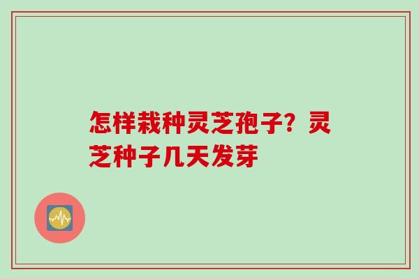 怎样栽种灵芝孢子？灵芝种子几天发芽