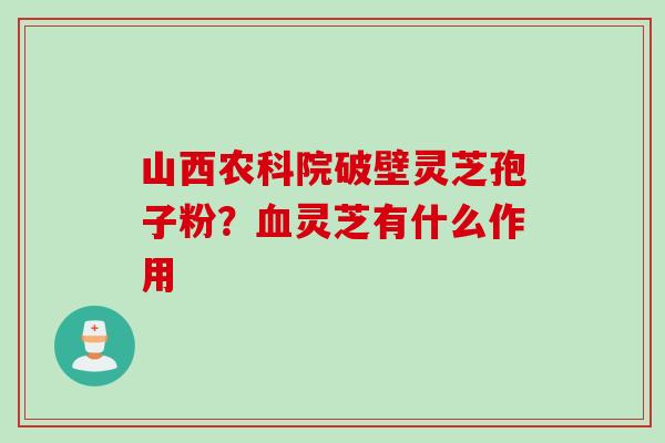 山西农科院破壁灵芝孢子粉？血灵芝有什么作用