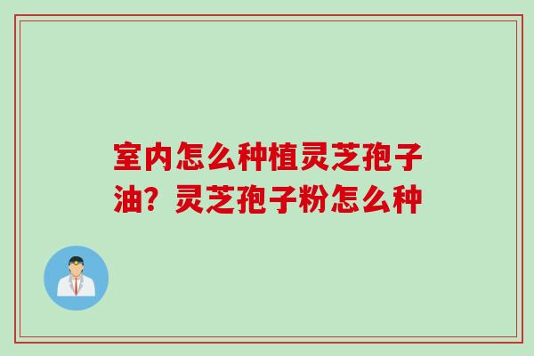 室内怎么种植灵芝孢子油？灵芝孢子粉怎么种