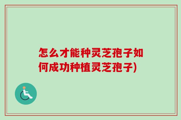怎么才能种灵芝孢子如何成功种植灵芝孢子)