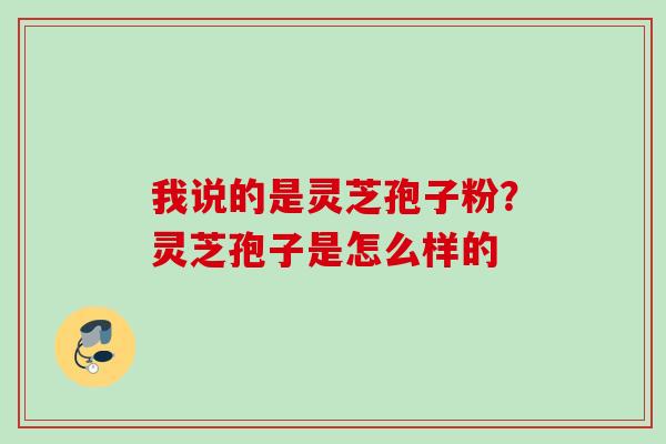 我说的是灵芝孢子粉？灵芝孢子是怎么样的