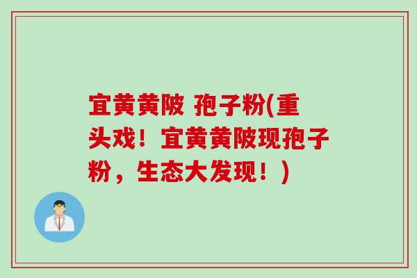 宜黄黄陂 孢子粉(重头戏！宜黄黄陂现孢子粉，生态大发现！)