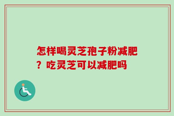 怎样喝灵芝孢子粉减肥？吃灵芝可以减肥吗