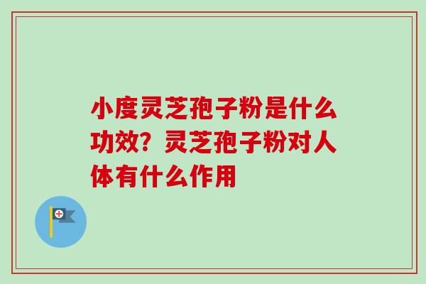 小度灵芝孢子粉是什么功效？灵芝孢子粉对人体有什么作用