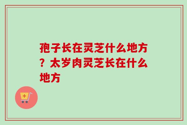 孢子长在灵芝什么地方？太岁肉灵芝长在什么地方