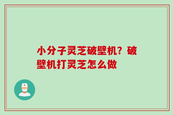 小分子灵芝破壁机？破壁机打灵芝怎么做