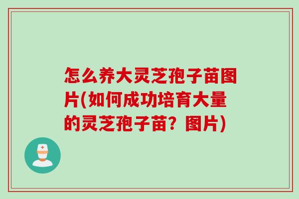 怎么养大灵芝孢子苗图片(如何成功培育大量的灵芝孢子苗？图片)