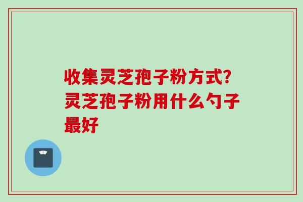 收集灵芝孢子粉方式？灵芝孢子粉用什么勺子最好