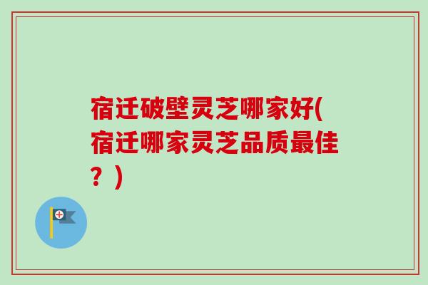 宿迁破壁灵芝哪家好(宿迁哪家灵芝品质最佳？)