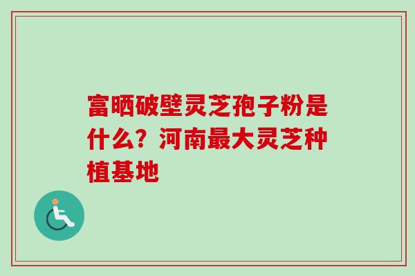 富晒破壁灵芝孢子粉是什么？河南最大灵芝种植基地